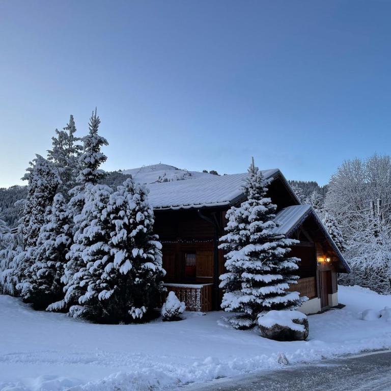 Chalet familial Les Gets avec Wi-Fi et parking - FR-1-671-329 - Chalet - 25