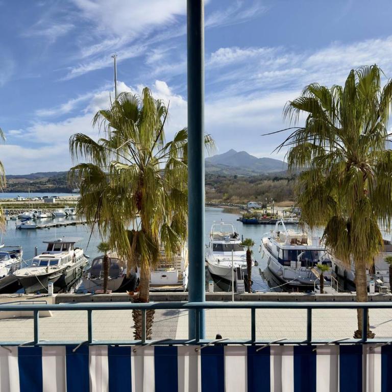 T2 Cabine Confortable & Climatisé - Argelès-sur-Mer - FR-1-388-251 - Appartement - 1