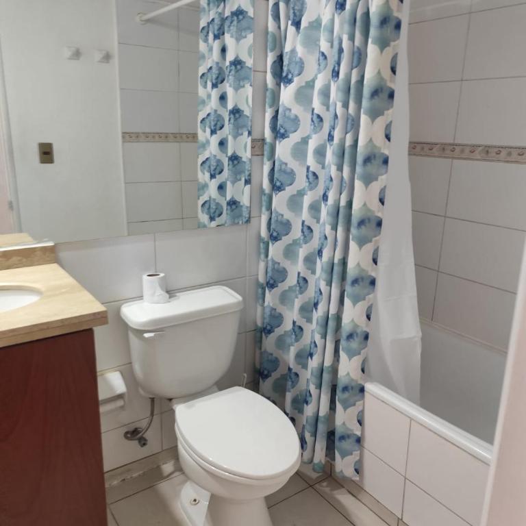 arriendo departamento 3 dormitorios,cerca del centro - One-Bedroom Apartment - 10