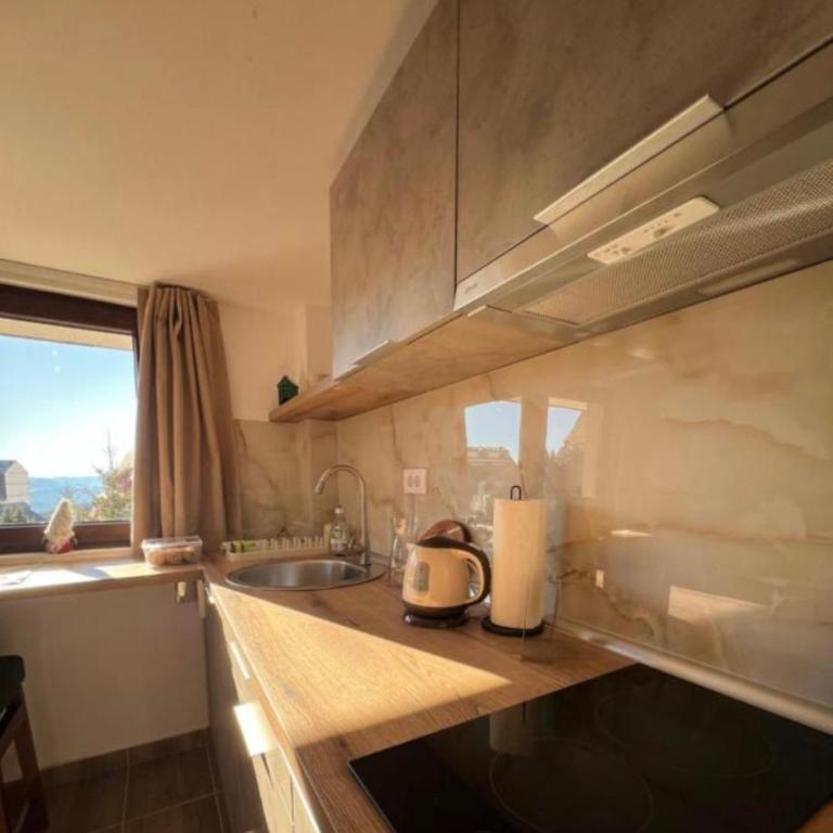 Apartments SKY Kopaonik - Apartment with View and Balcony - 5