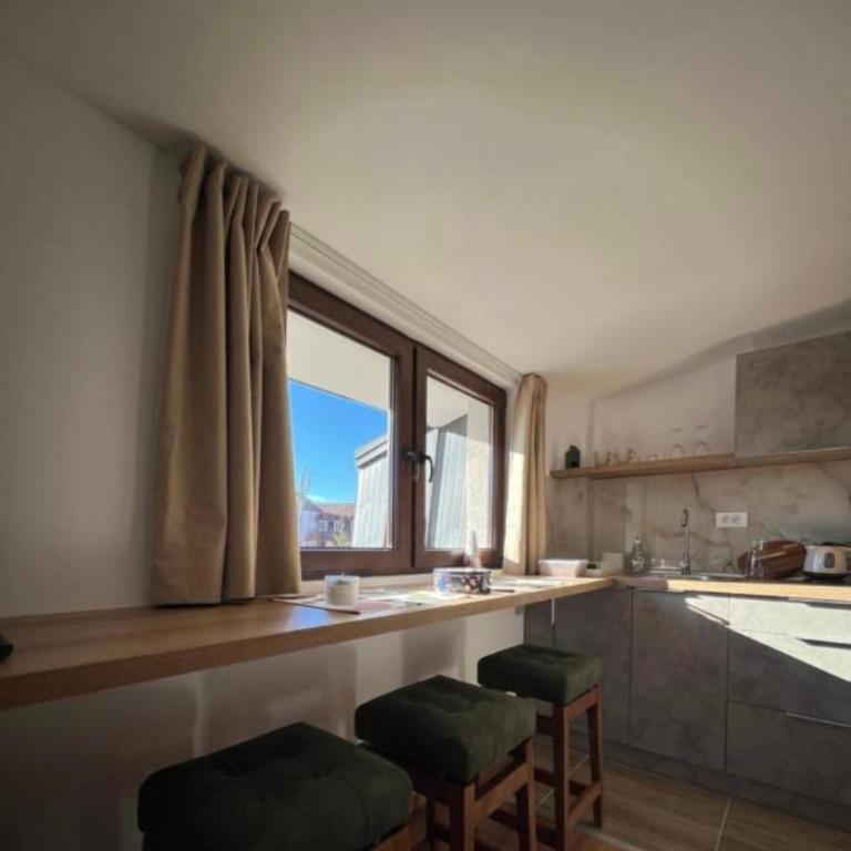 Apartments SKY Kopaonik - Apartman sa 1 Spavaćom Sobom, Balkonom i Pogledom na Planinu - 6