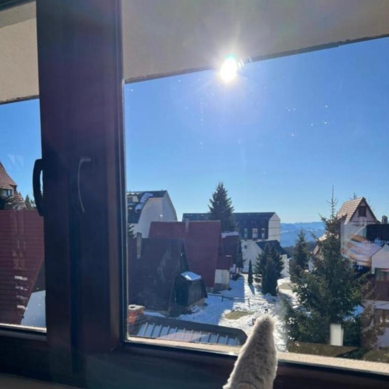 Apartments SKY Kopaonik - Apartment with View and Balcony - 7