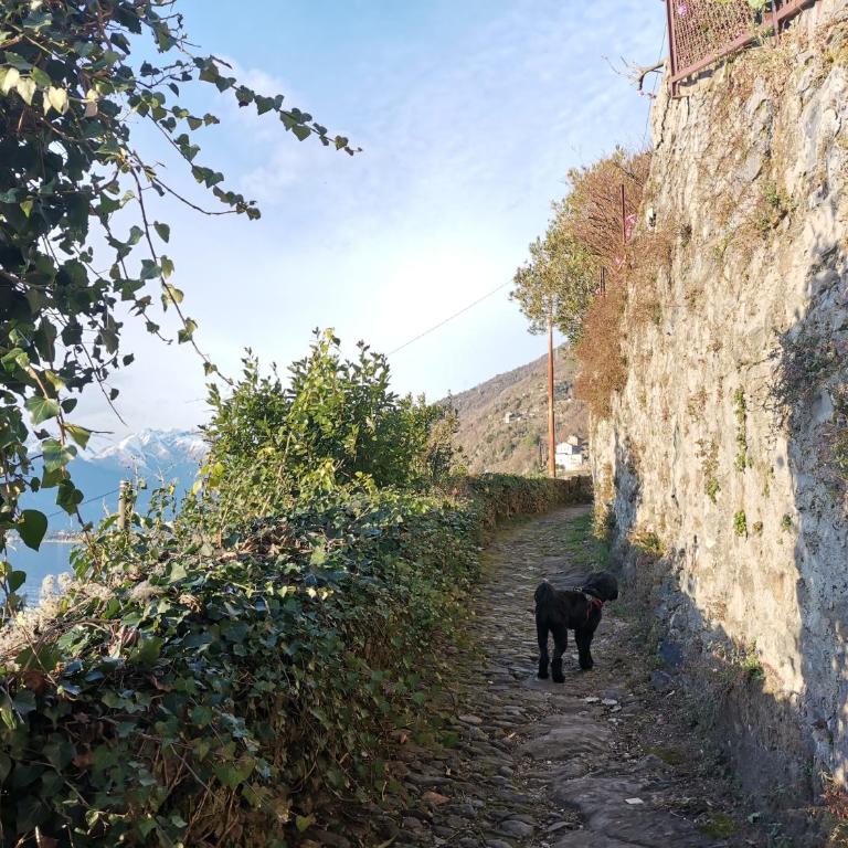 Mave's house 2, lake of Como, Bellano near Varenna - Appartamento con 1 Camera da Letto - 21
