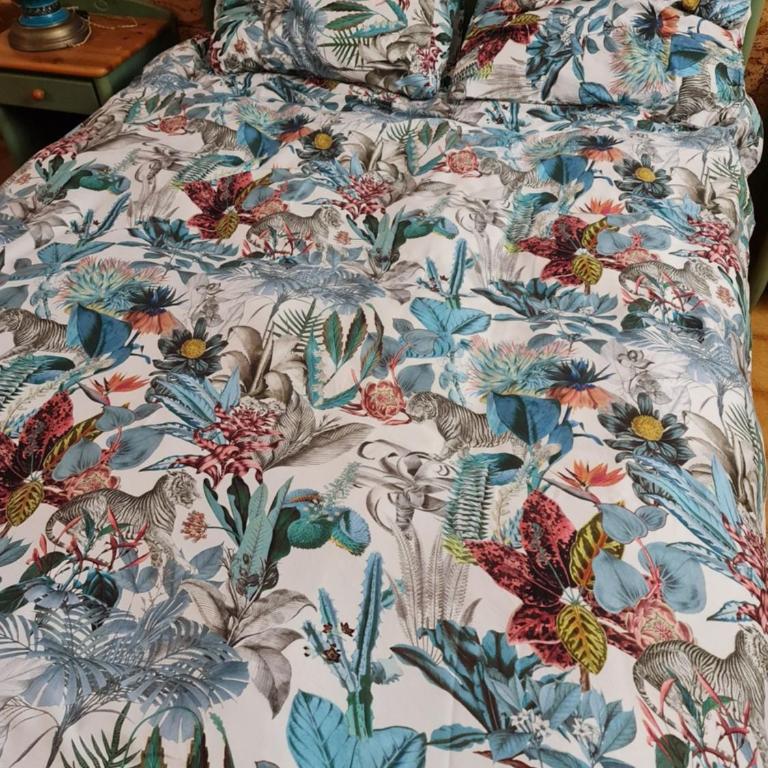 Maison de village - Maison 3 Chambres - 7