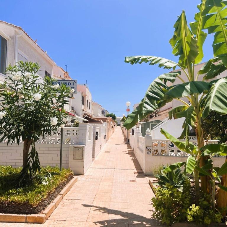 La Caleta - Apartamento de 1 dormitorio - 63