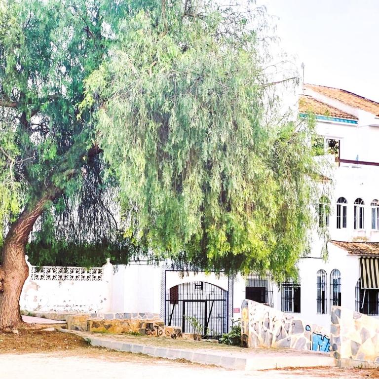 La Caleta - Apartamento de 1 dormitorio - 64