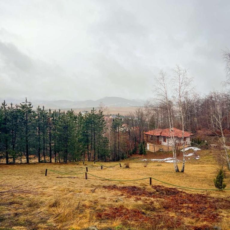 Vila Xenos Loft Karakter Zlatibor - Two-Bedroom Villa - 63