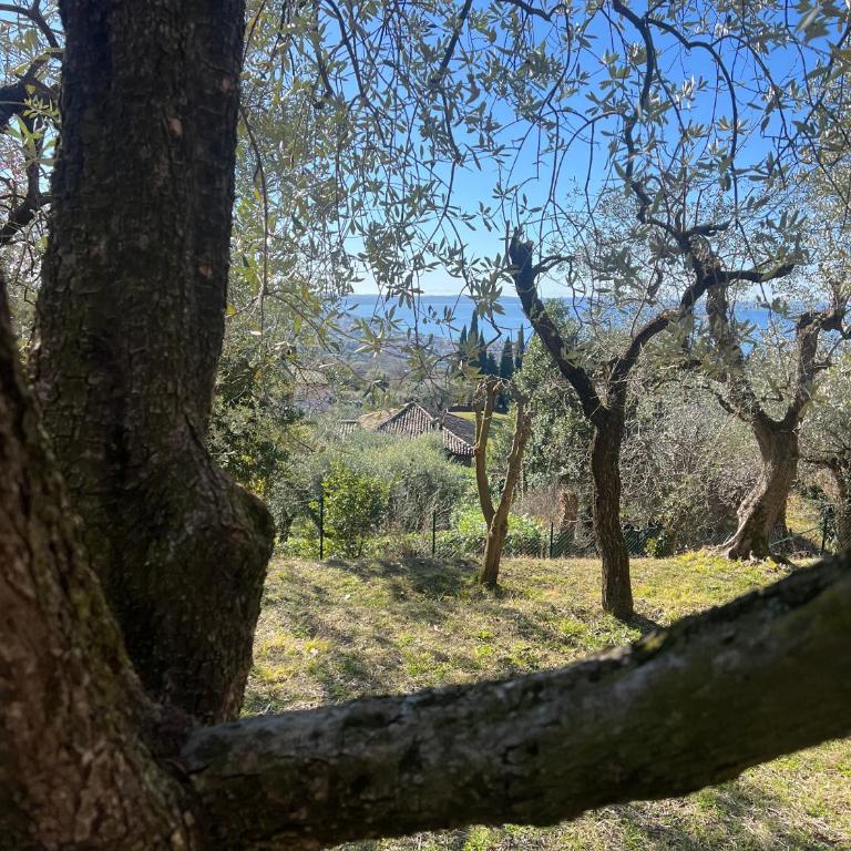 Villa Cà Bottura agli ulivi - Casa con 3 Camere da Letto - 15