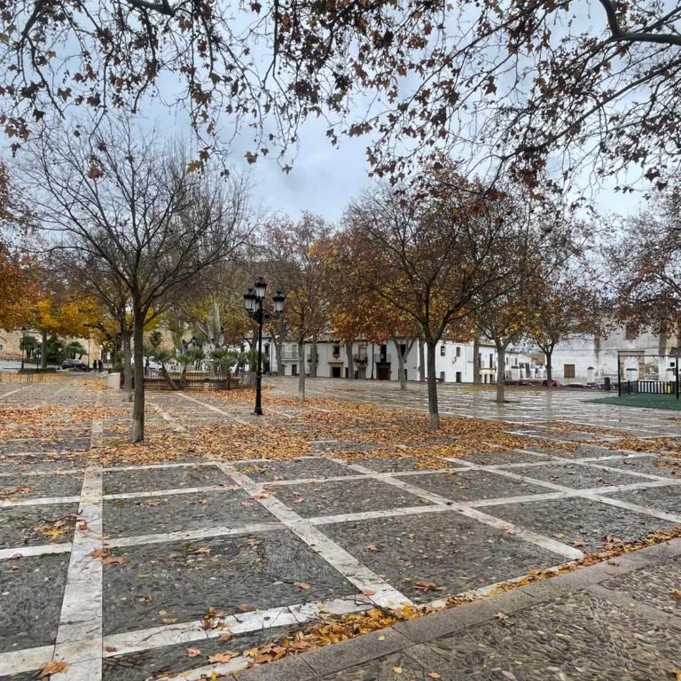 Apartamento Amanecer - Three-Bedroom Apartment - 12