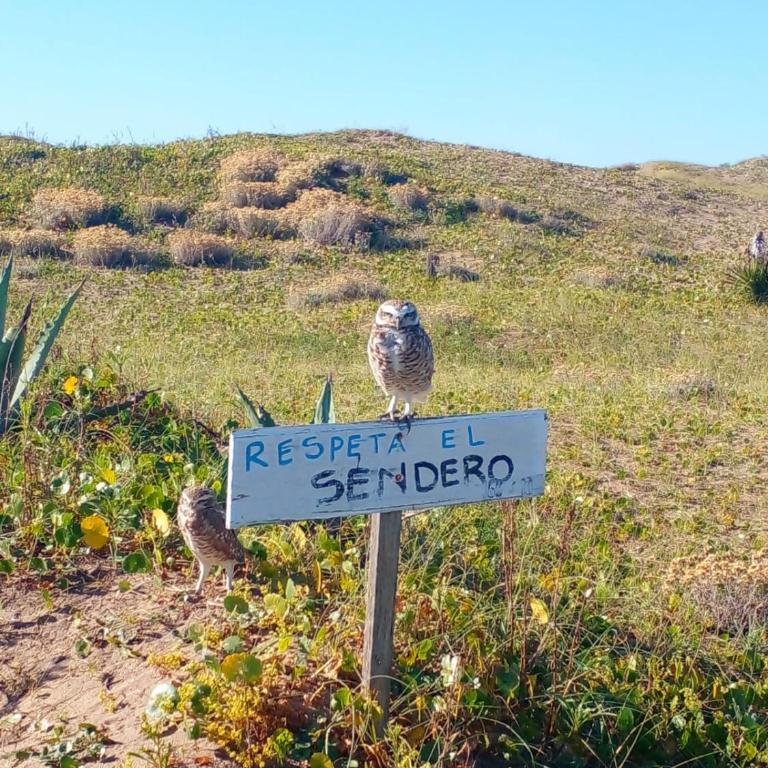 La chapita bosque y mar - Room #1585011501 - 11