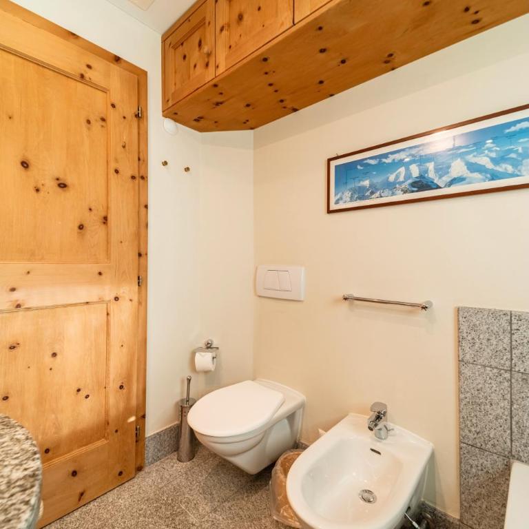 Abitaziun Staz 2 - Pontresina - Apartment mit Terrasse - 12