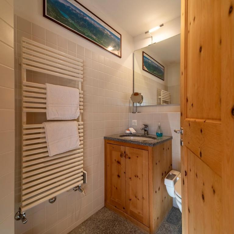 Abitaziun Staz 2 - Pontresina - Apartment mit Terrasse - 16