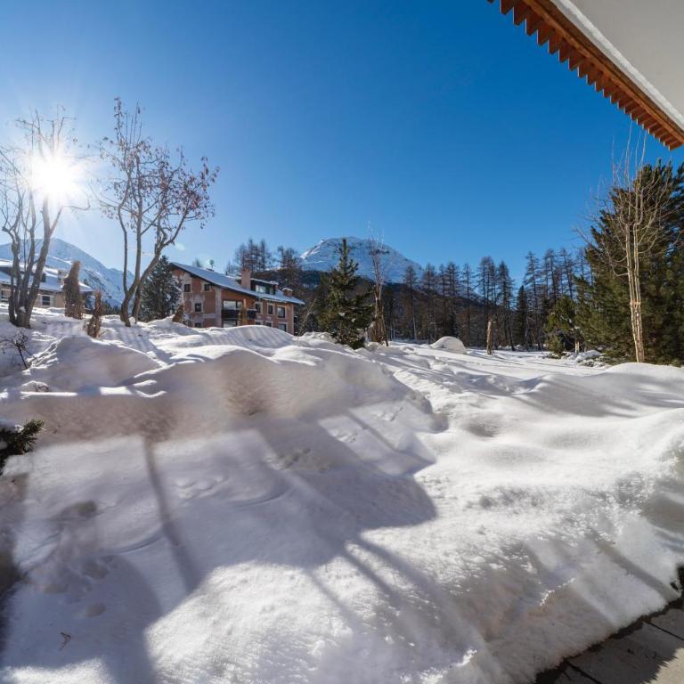 Abitaziun Staz 2 - Pontresina - Apartment mit Terrasse - 18