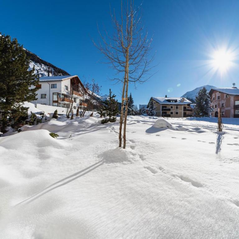 Abitaziun Staz 2 - Pontresina - Apartment mit Terrasse - 19