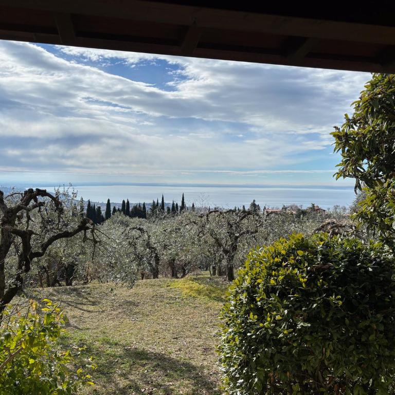Villa Cà Bottura agli ulivi - Casa con 3 Camere da Letto - 1