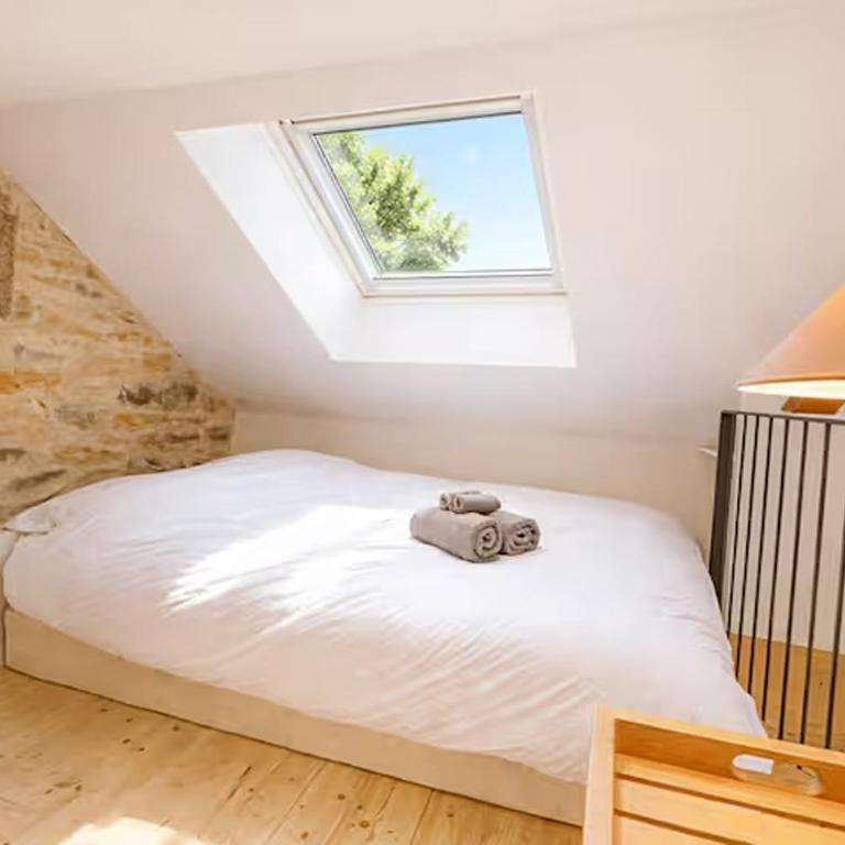 Maison de Vignes en plein coeur de Millau - Maison 1 Chambre - 7