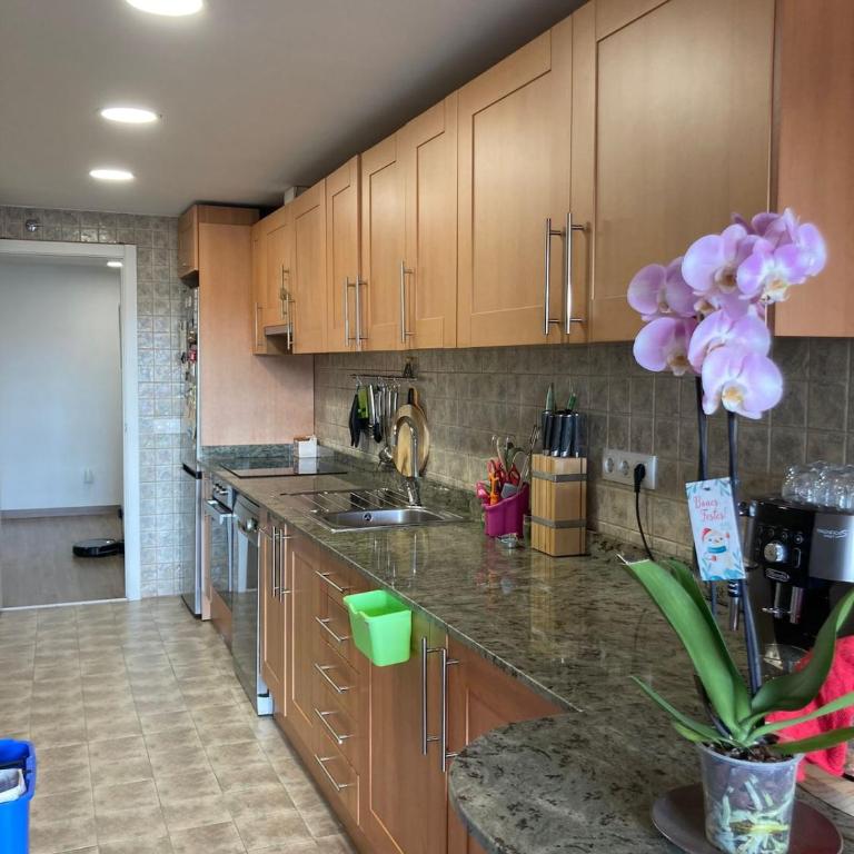 Casa Irina Rapita - Apartamento de 1 dormitorio - 17