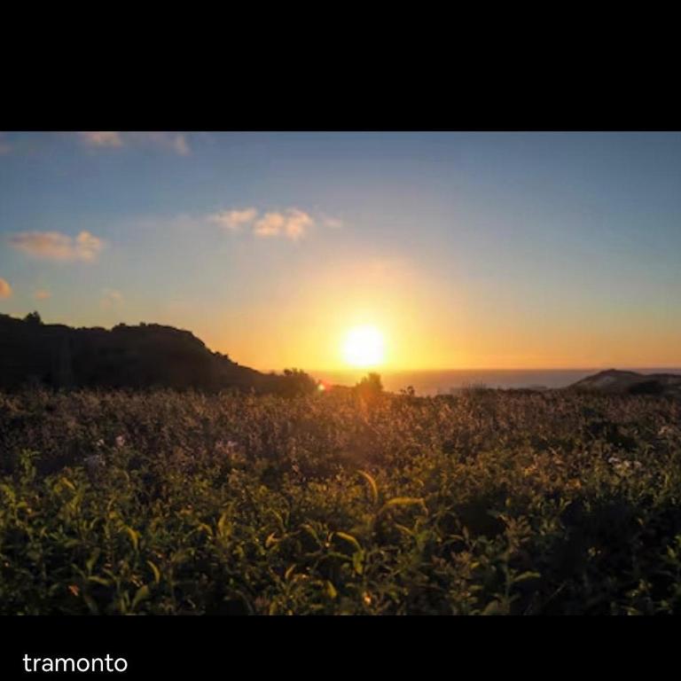 Dammusi Thienzo - Villa - 9