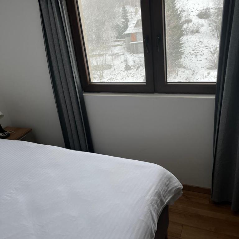 Apartments SKY Kopaonik - Apartment with View and Balcony - 2