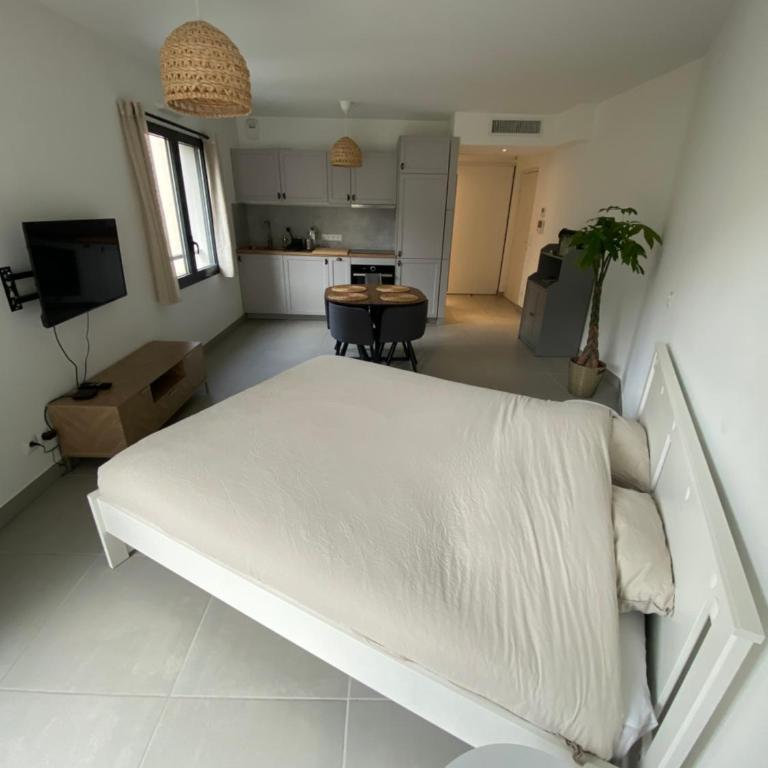 Appartement entre Monaco et Nice Calme et tout équipé - Studio avec Balcon - 3