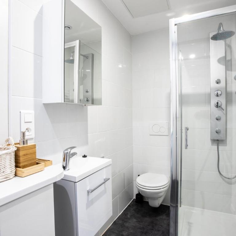 Flandres Appart' Hotel - Schepers - One-Bedroom Apartment - 4