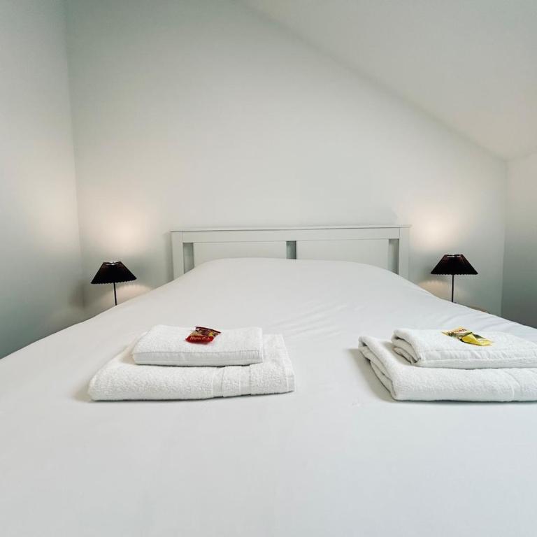 3 Vasnier confortable proche caves de champagne - Apartment mit 1 Schlafzimmer - 3