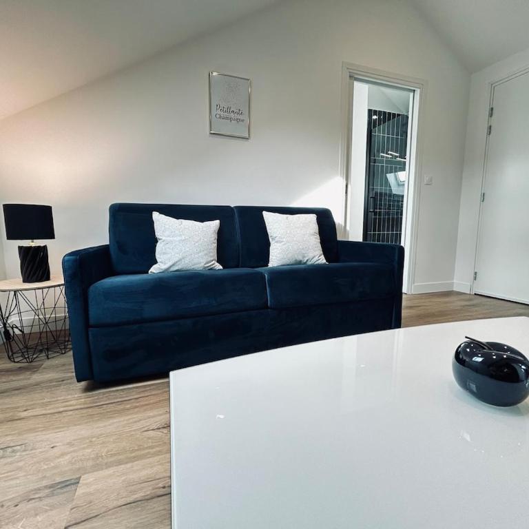 3 Vasnier confortable proche caves de champagne - Apartment mit 1 Schlafzimmer - 21