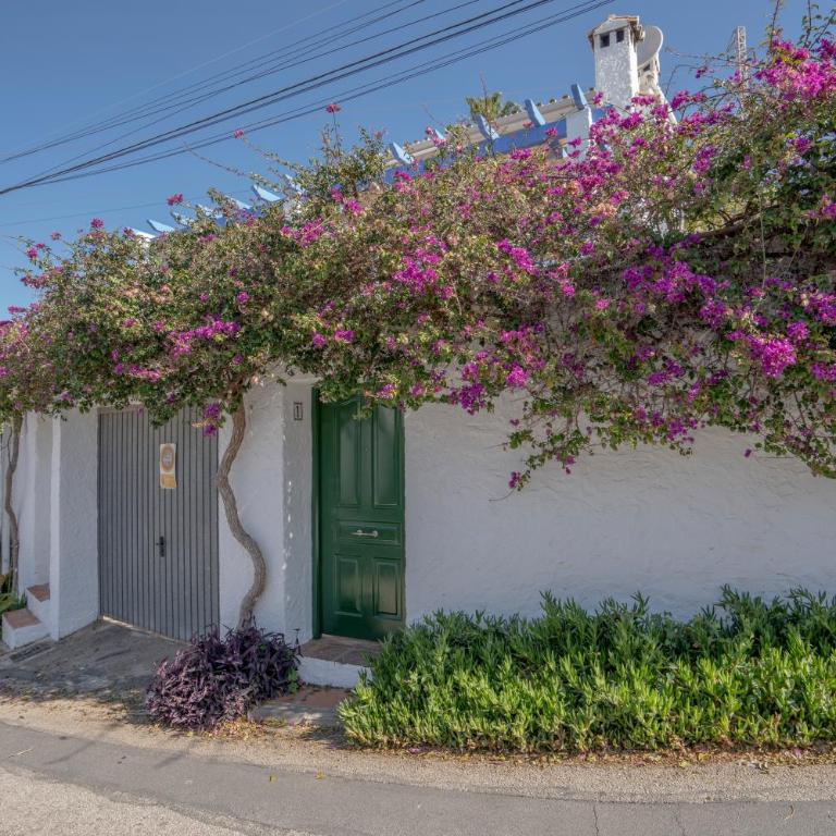 Paco Romo - Casa de 2 dormitorios - 16