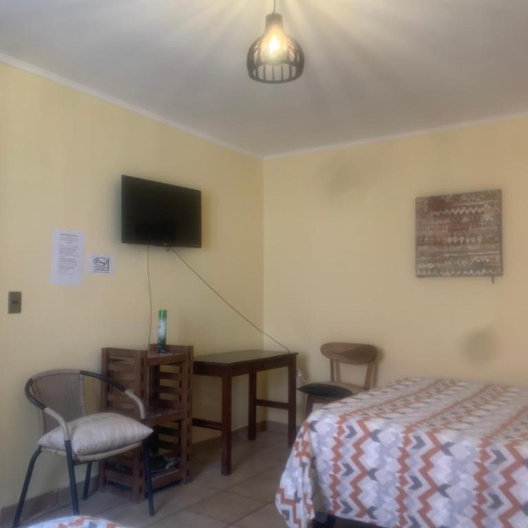 Hostal CacTus - Twin Room with Private External Bathroom - 10