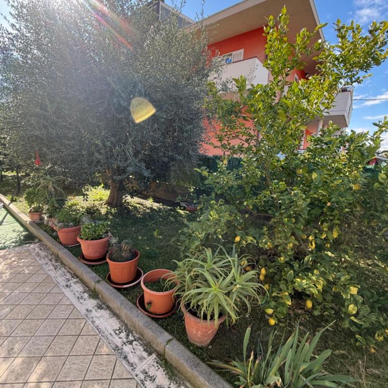 Sun Beach - Two-Bedroom Apartment - 4