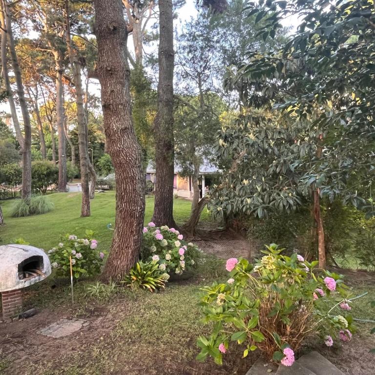 Casa Valeria I Ideal Familias I Cerca de la Playa - Ayres del Bosque Alojamientos - Casa de 3 dormitorios - 34