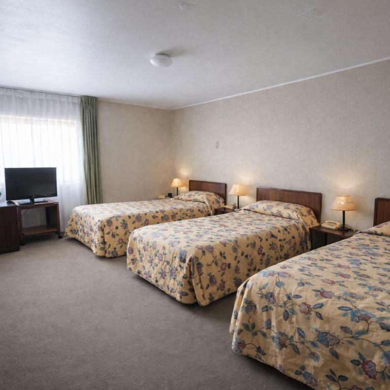 Hotel de Viña - Triple Room with Bathroom - 1