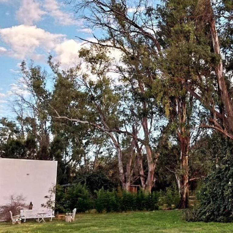 La Nave Bosque y Rio - Room #1585088001 - 2