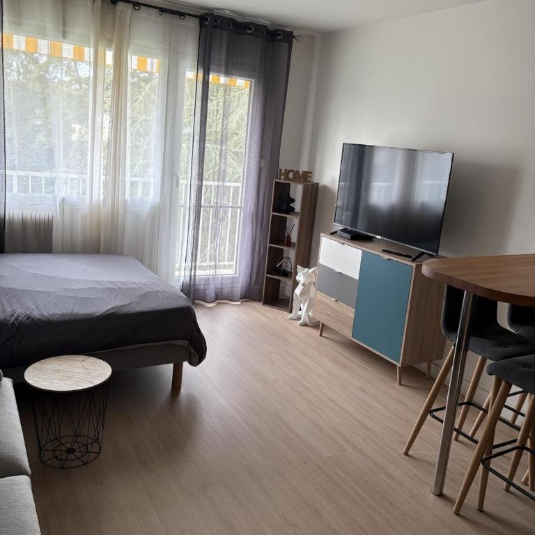 Studio à Gaillard - Appartement 1 Chambre - 2