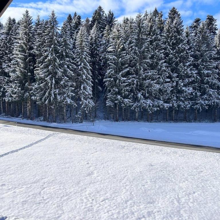 Waldesruh - Natur & Entspannung im Allgäu - Apartment mit 1 Schlafzimmer - 29