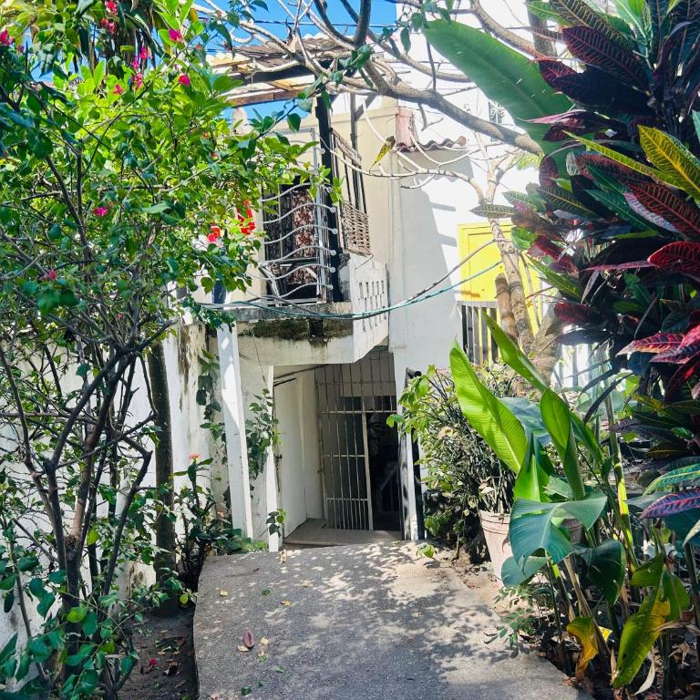 casa del zen - Villa de 1 dormitorio - 21