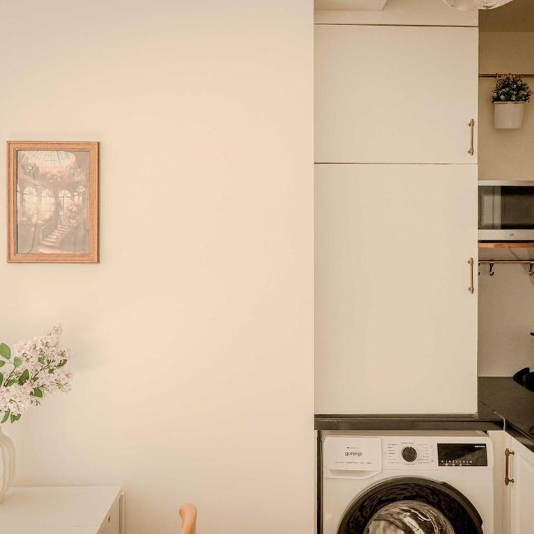 Sèvres-Lecourbe Charming Studio Paris15 - Appartement 1 Chambre - 16