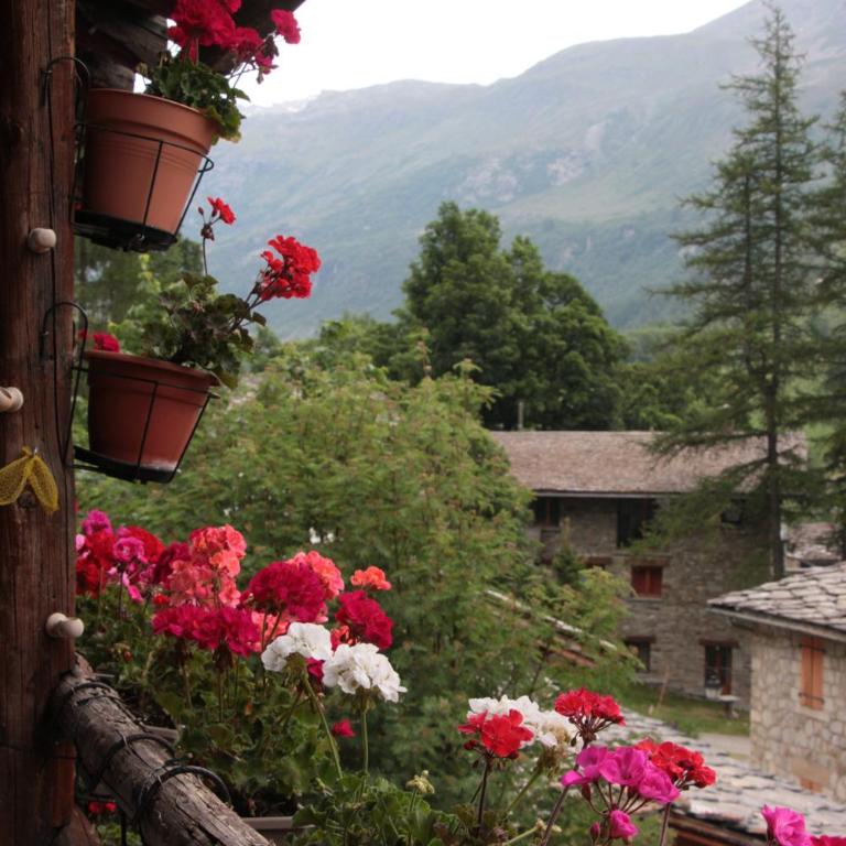 le petit coin montagne 4 - Appartement 1 Chambre - 2