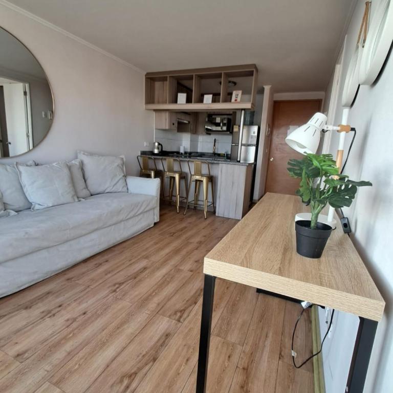 Terraza del Sol depto con estacionamiento y vistas al mar - One-Bedroom Apartment - 12