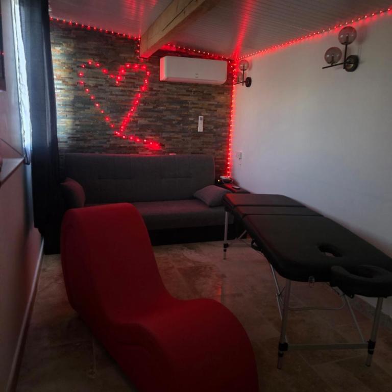 love room les plaisirs partagés - Appartement 1 Chambre - 5