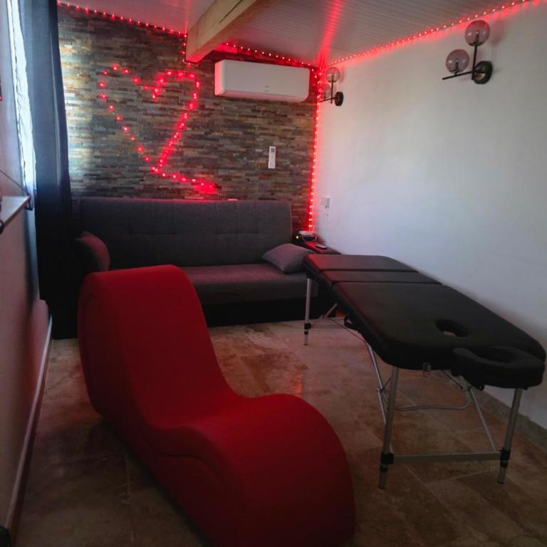 love room les plaisirs partagés - Appartement 1 Chambre - 12