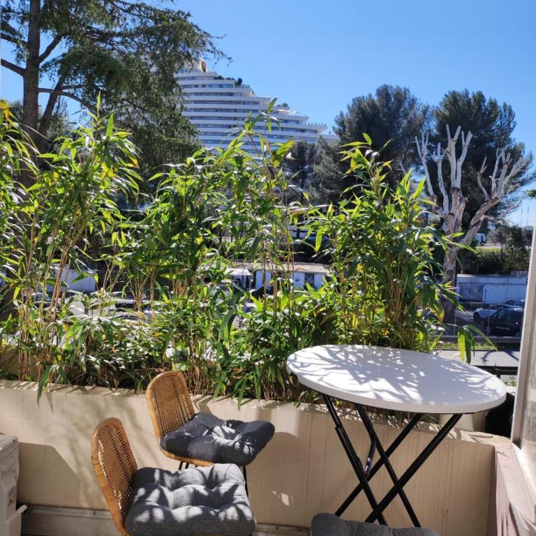 Confortable appartement proche bord de mer - Appartement 1 Chambre - 1