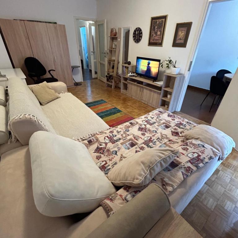 Apt 1944 - One-Bedroom Apartment - 3