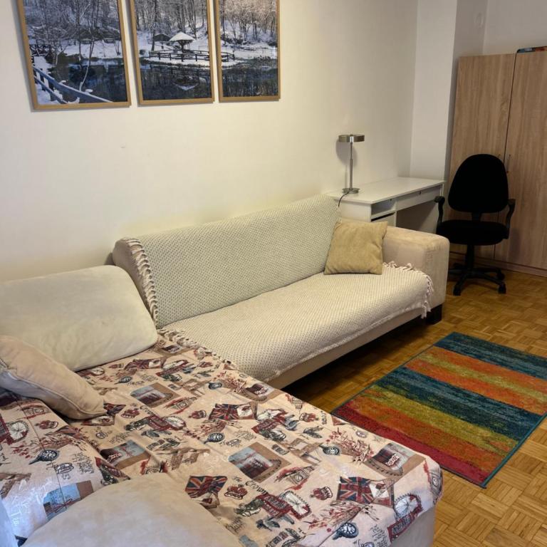 Apt 1944 - One-Bedroom Apartment - 2