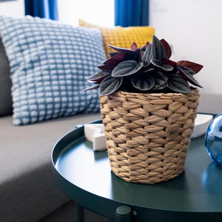 Terrazza Blu di Millo - Appartamento con 1 Camera da Letto, Vista Mare e Terrazza - 77