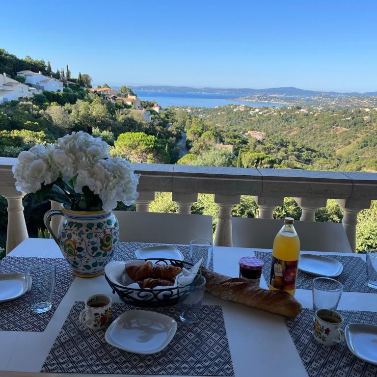 Villa provençale Magnifique vue Golfe de St Tropez - Villa - 15