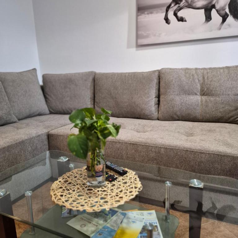 Stan Duo - Apartman sa 2 Spavaće Sobe - 37