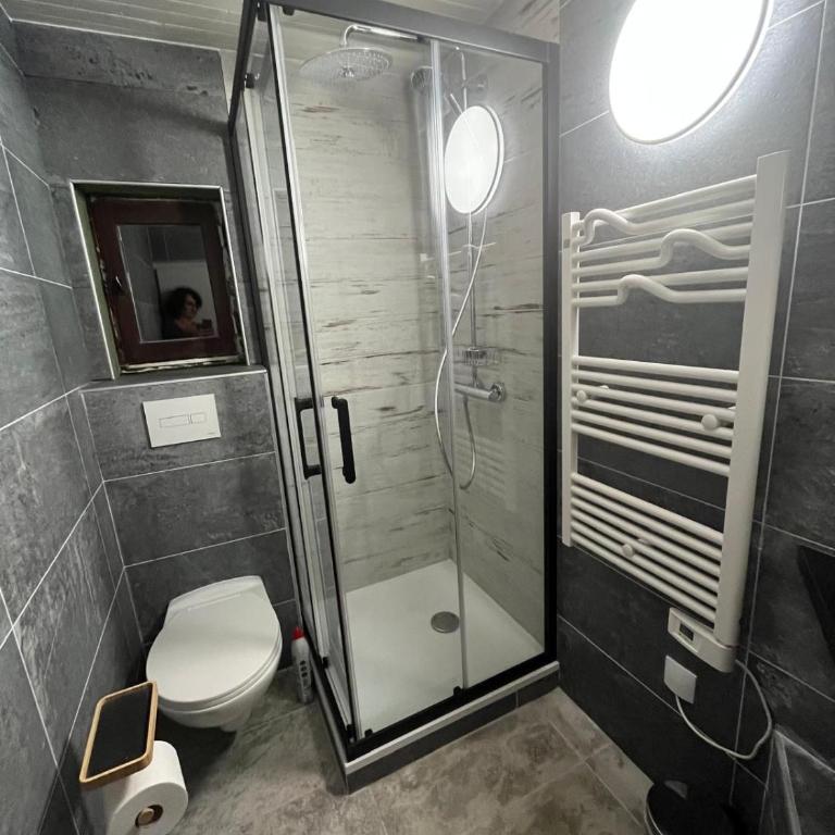 Chalet les Hirondelles 8 personnes, Le Grand broue à Huez - Chalet - 17