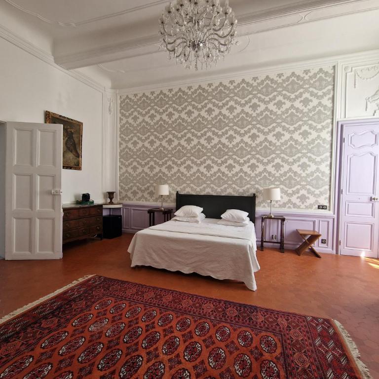 Palais de Luppé, Chambre d'hôtes - Camera Matrimoniale Deluxe - 7