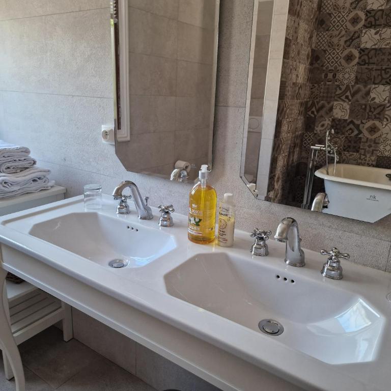 Palais de Luppé, Chambre d'hôtes - Camera Matrimoniale Deluxe - 13